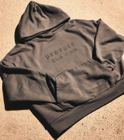 Child of God | PROSPER | cropped heavyweight hoodie.